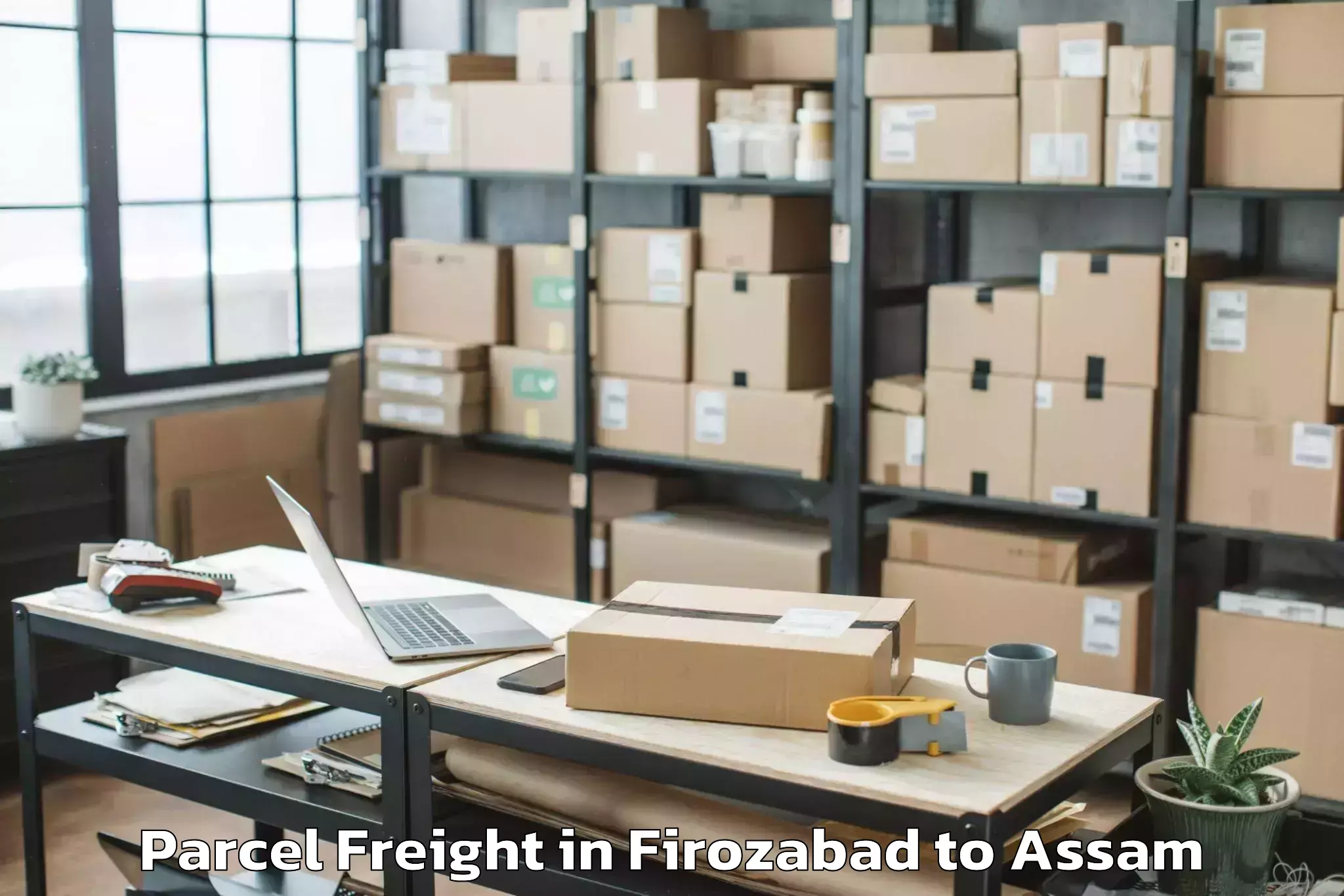 Top Firozabad to Dhekiajuli Parcel Freight Available